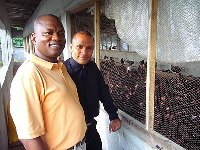 A poultry battery